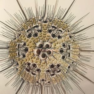 Meet your Posher, Jenny